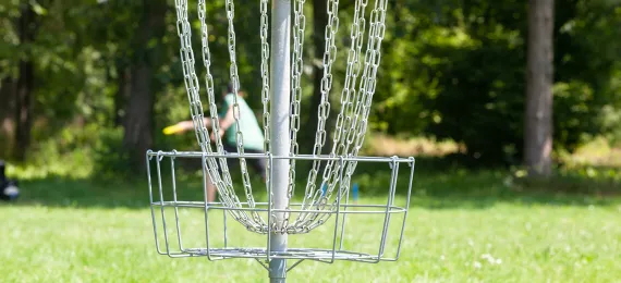 Disc Golf net